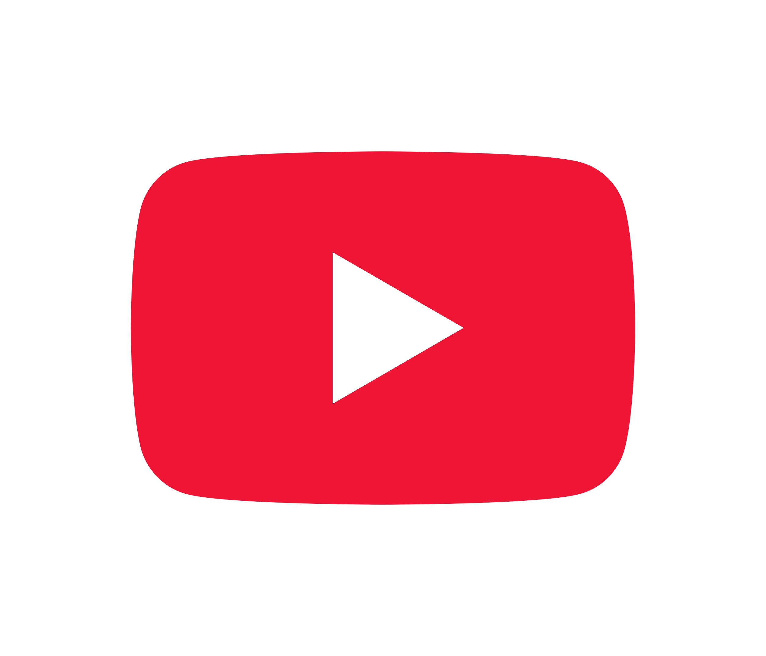yt icon red cymk page 0001